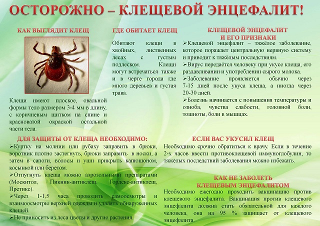 foto 28 06 2021 16 30