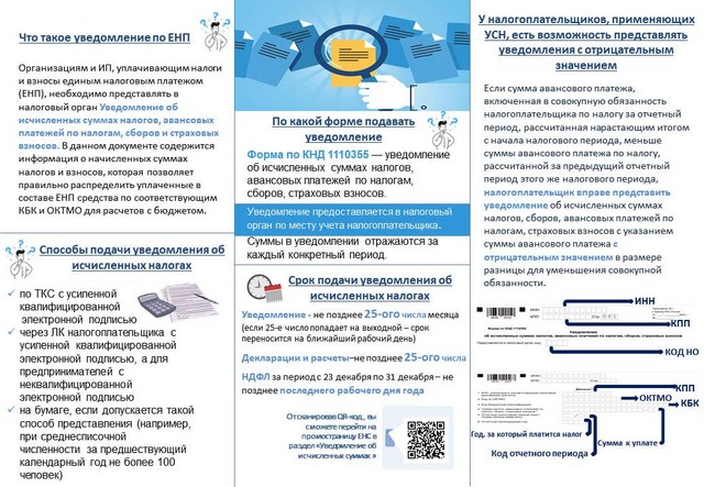 foto 2025 07 25 08 02 002